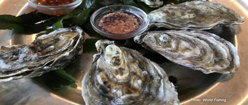 ASEAN:UK university leads Asian mollusc research