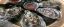 ASEAN:UK university leads Asian mollusc research