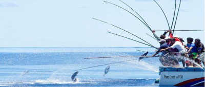 Maldives: MIFCO acquires 54 502 tonnes of fish
