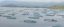 PHILIPPINES: Fish Imports Suspension Benefits Aquaculture